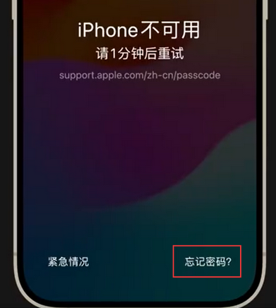 宁海苹果手机密码维修分享iPhone忘记了刚设置的密码 